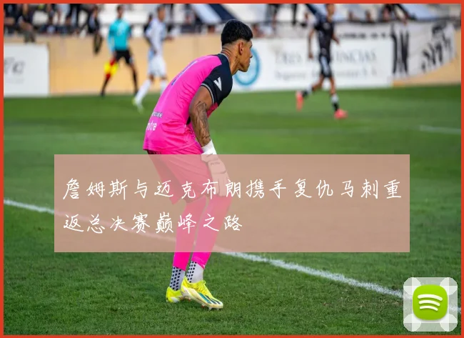 詹姆斯与迈克布朗携手复仇马刺重返总决赛巅峰之路