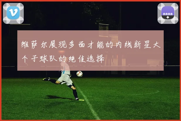 维萨尔展现多面才能的内线新星大个子球队的绝佳选择